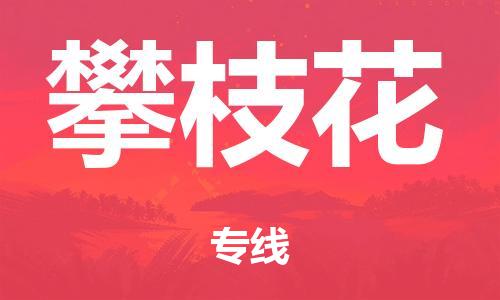 泉州到攀枝花整车货运专线,泉州到攀枝花整车整车运输