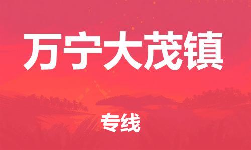 晋江市到万宁大茂镇物流公司-晋江市到万宁大茂镇专线 晋江市到万宁大茂镇物流公司-晋江市到万宁大茂镇专线