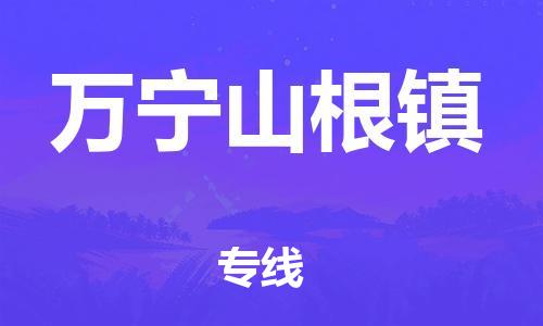 晋江市到万宁山根镇物流公司-晋江市到万宁山根镇专线 晋江市到万宁山根镇物流公司-晋江市到万宁山根镇专线